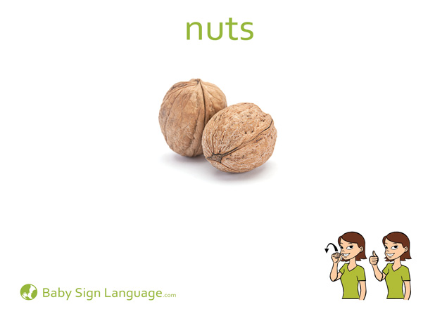 Nuts Baby Sign Language Flash card