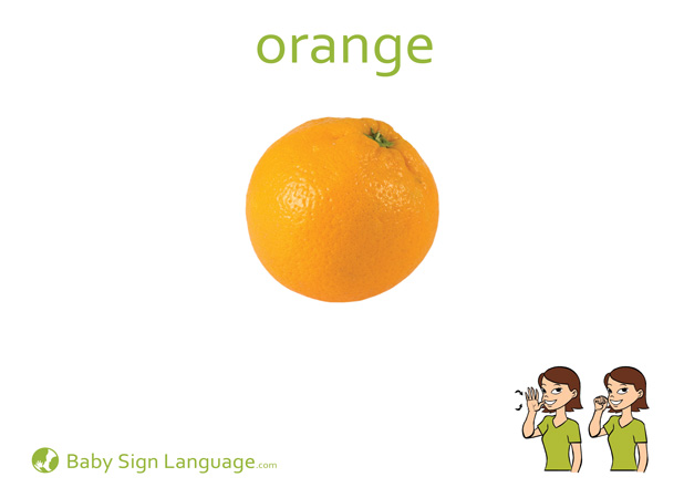 Orange Baby Sign Language Flash card