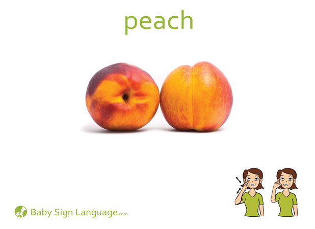 Peach Baby Sign Language Flash card