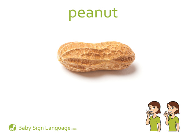 Peanut Baby Sign Language Flash card