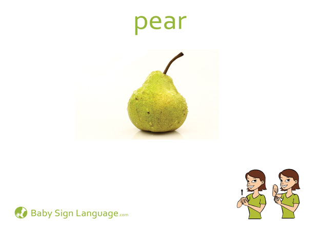 Pear Baby Sign Language Flash card