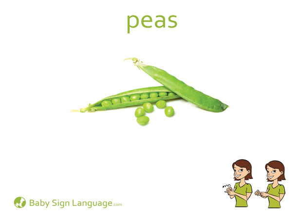 Peas Baby Sign Language Flash card