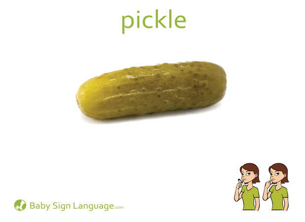 Pickle Baby Sign Language Flash card