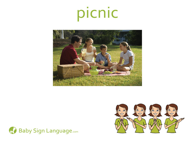 Picnic Baby Sign Language Flash card