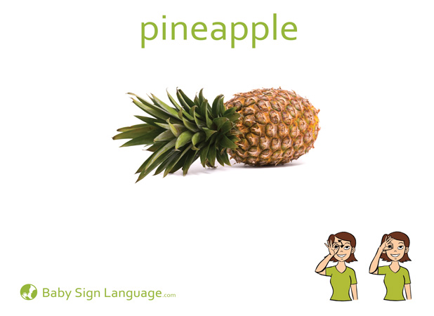 Pineapple Baby Sign Language Flash card