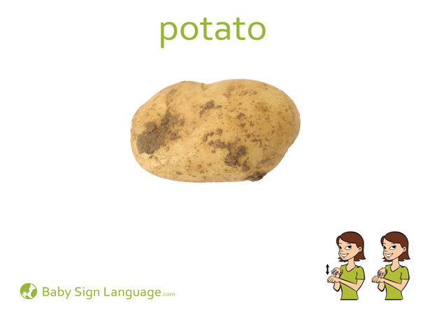 Potato Baby Sign Language Flash card