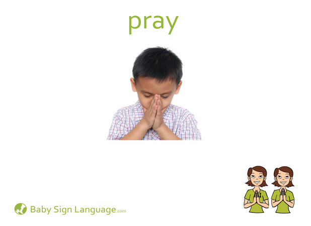 Pray Baby Sign Language Flash card