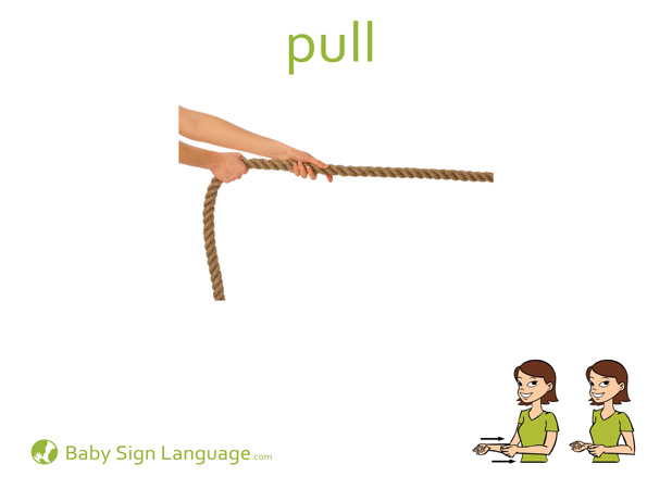 Pull Baby Sign Language Flash card