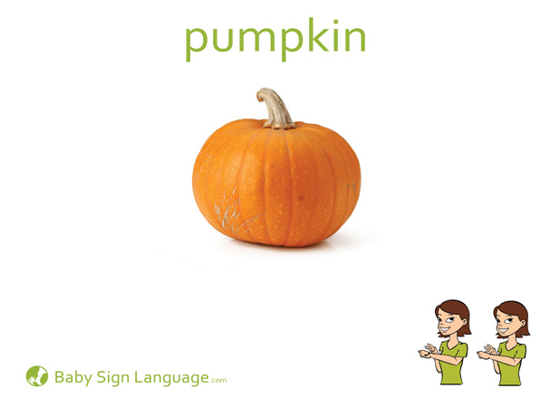 Pumpkin Baby Sign Language Flash card