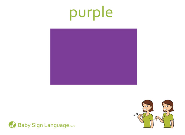 Purple Baby Sign Language Flash card