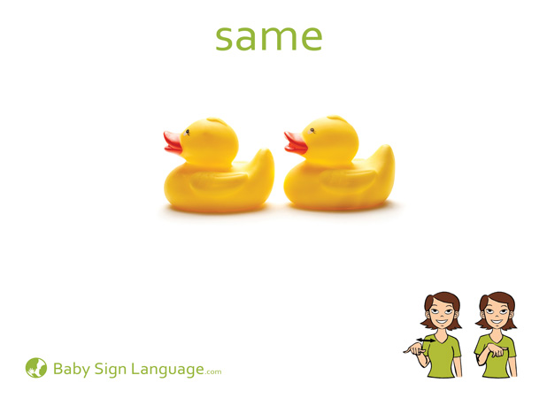 Same Baby Sign Language Flash card