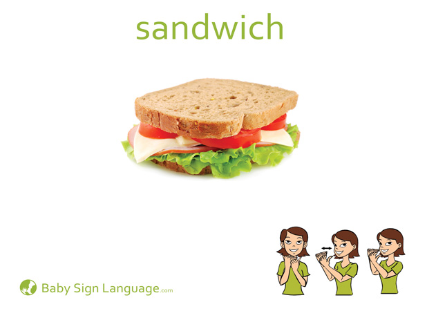 Sandwich Baby Sign Language Flash card