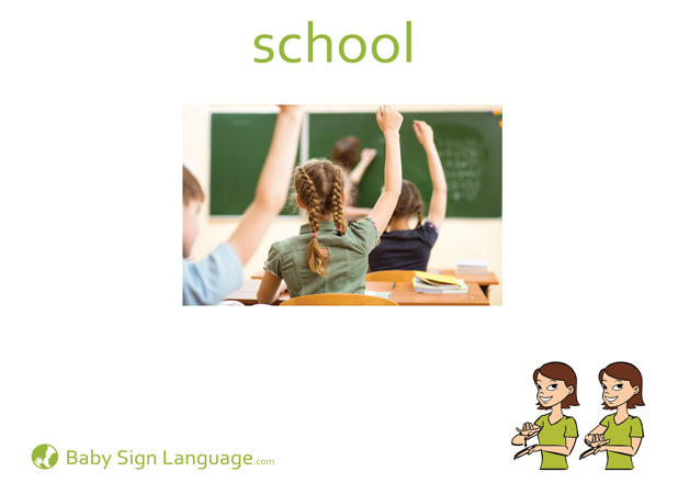 School Baby Sign Language Flash card