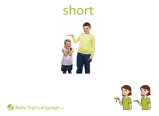 Short Baby Sign Language Flash card