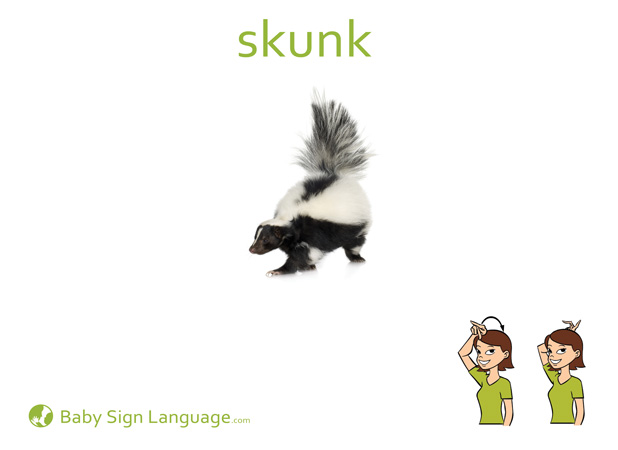 Skunk Baby Sign Language Flash card