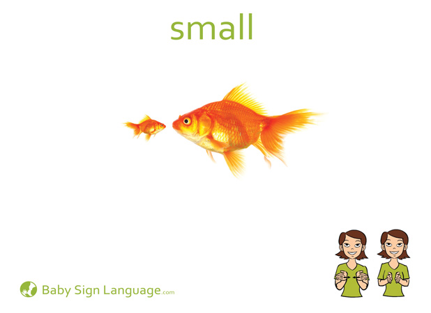 Small Baby Sign Language Flash card