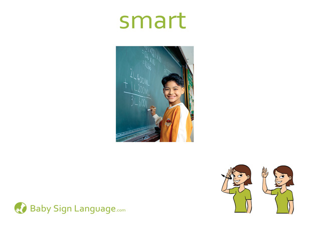 Smart Baby Sign Language Flash card