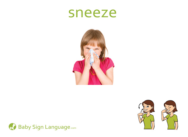 Sneeze Baby Sign Language Flash card