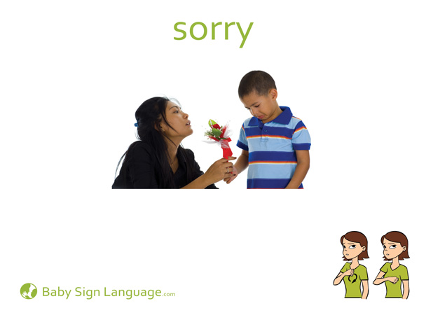 Sorry Baby Sign Language Flash card