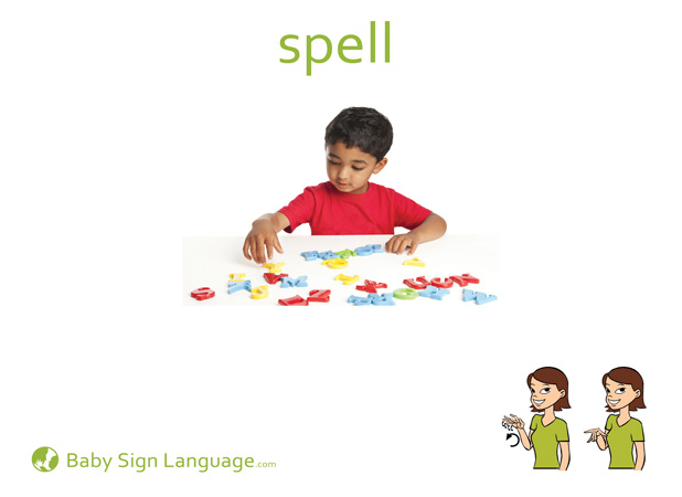 Spell Baby Sign Language Flash card