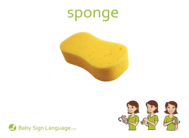 Sponge Baby Sign Language Flash card