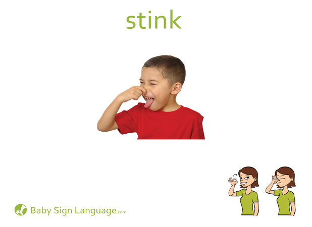 Stink Baby Sign Language Flash card