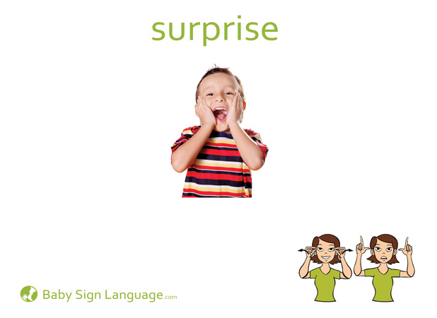 Surprise Baby Sign Language Flash card