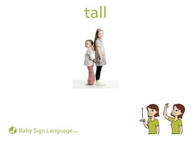 Tall Baby Sign Language Flash card