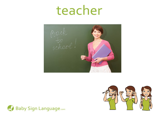 Teacher Baby Sign Language Flash card