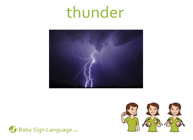 Thunder Baby Sign Language Flash card