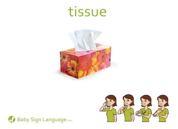 Tissue Baby Sign Language Flash card