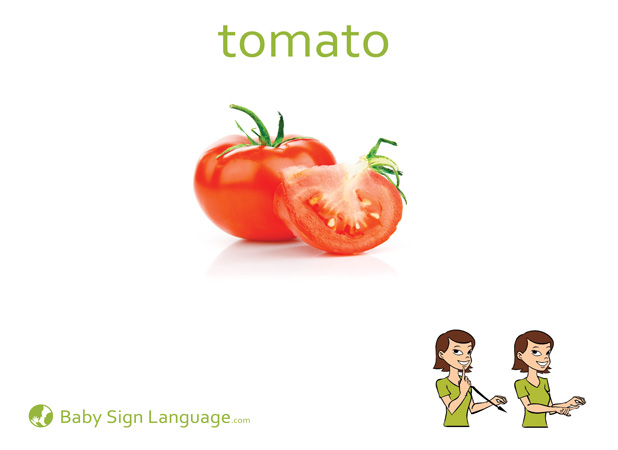Tomato Baby Sign Language Flash card