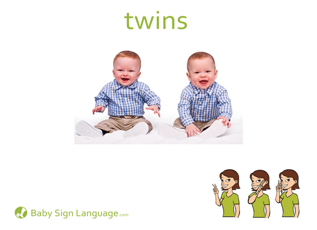 Twins Baby Sign Language Flash card
