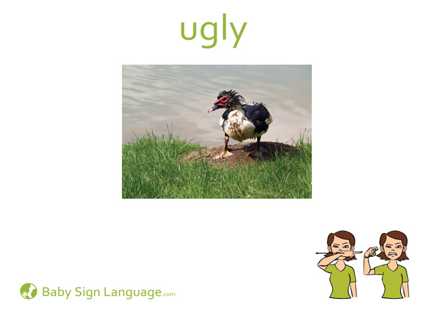 Ugly Baby Sign Language Flash card