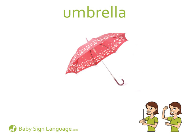 Umbrella Baby Sign Language Flash card