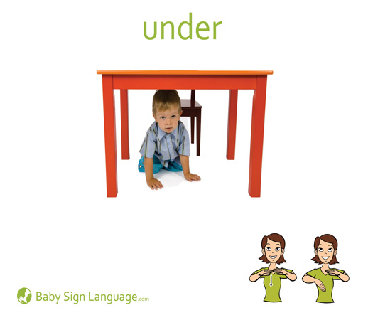 Up Baby Sign Language Flash card