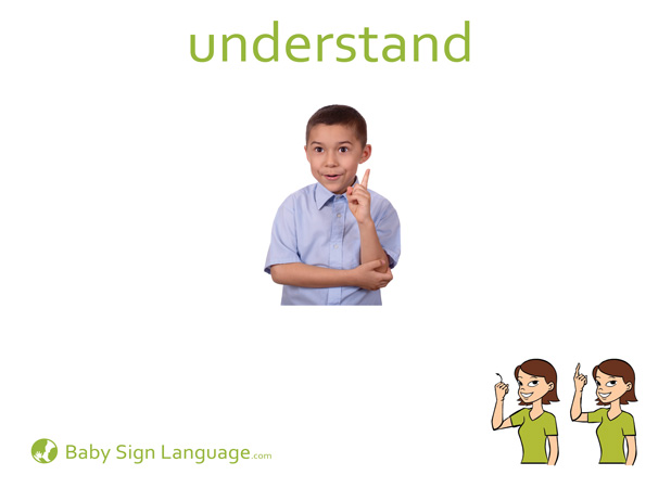 Understand Baby Sign Language Flash card
