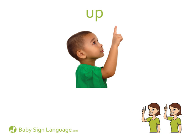 Up Baby Sign Language Flash card