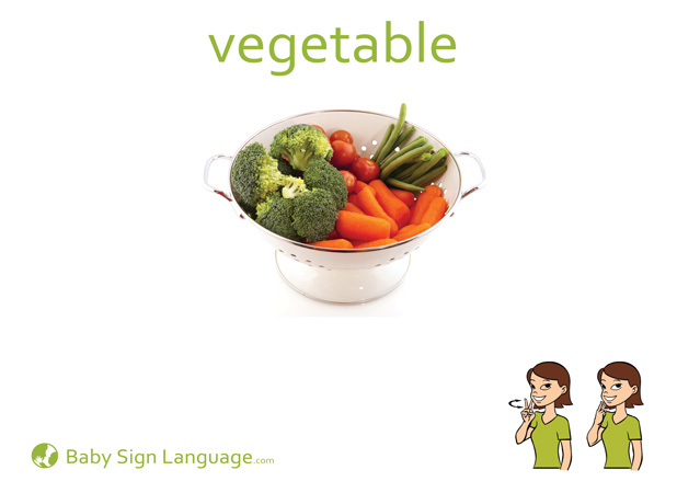 Vegetable Baby Sign Language Flash card