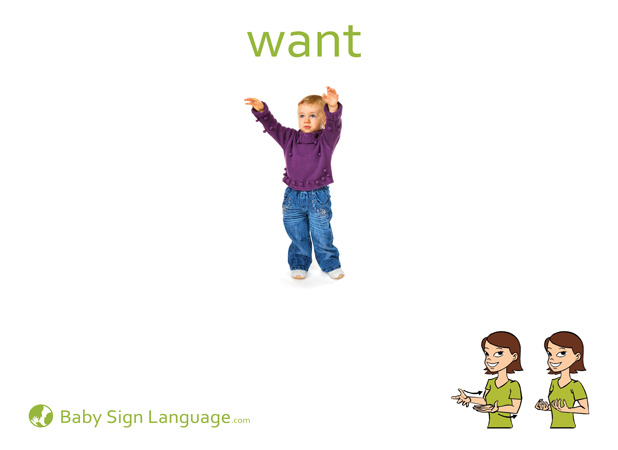 Want Baby Sign Language Flash card