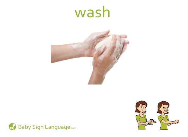 Wash Baby Sign Language Flash card