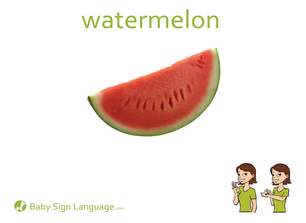 Watermelon Baby Sign Language Flash card