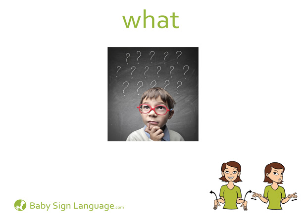 What Baby Sign Language Flash card