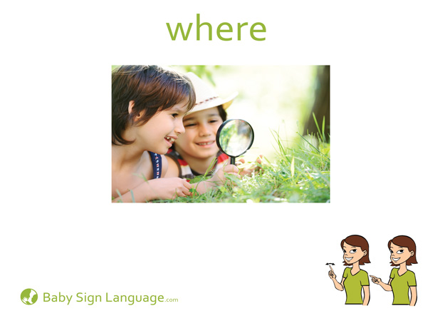 Where Baby Sign Language Flash card