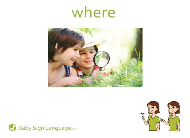 Where Flash Card