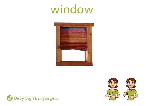 Window Baby Sign Language Flash card