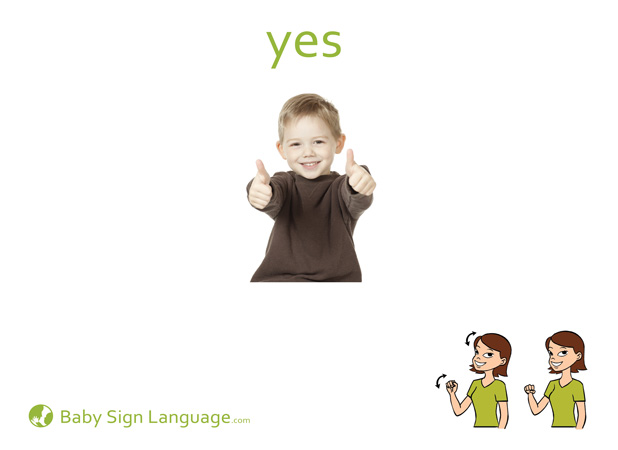 Yes Baby Sign Language Flash card