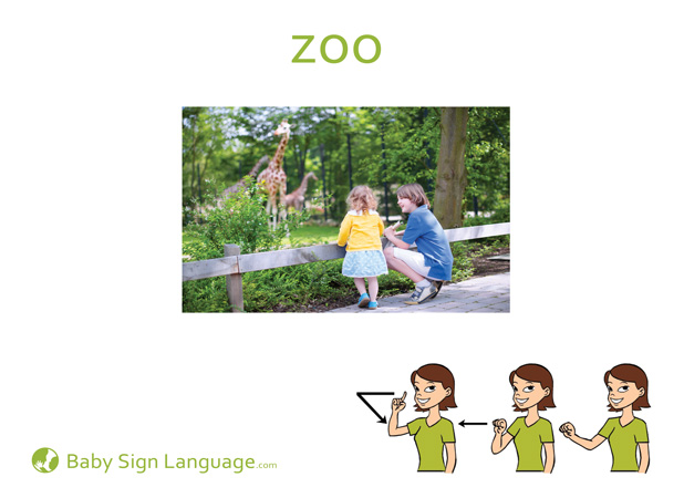 zoo Baby Sign Language Flash card