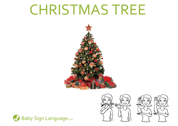 Christmas Tree Baby Sign Language Flash Card